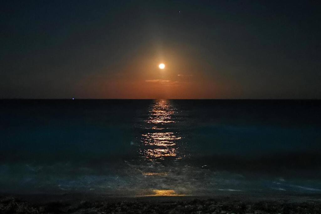Villa Aurora Beautiful Beachfront Apartment Cancun Dış mekan fotoğraf